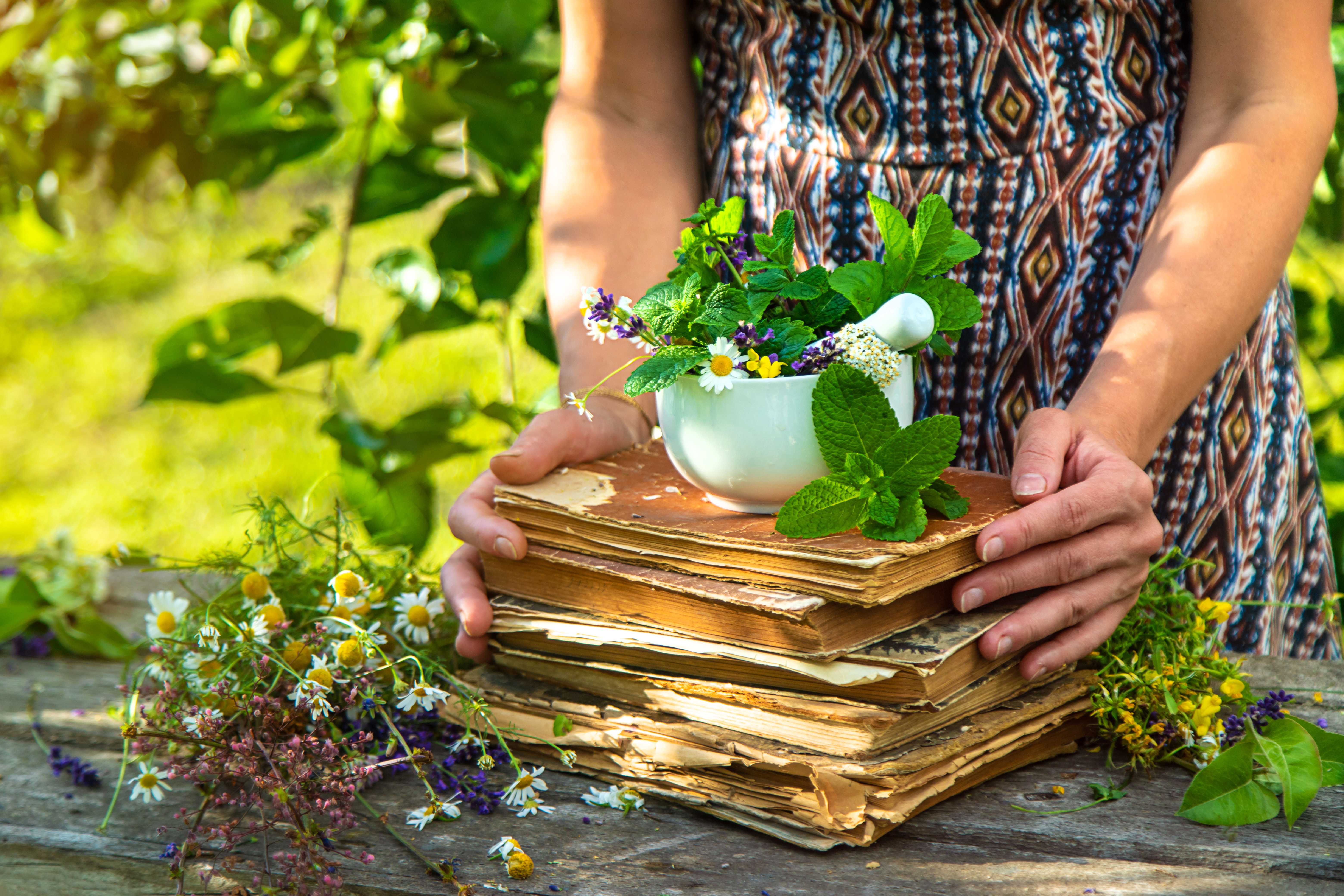 Herbal ingredients and traditional knowledge
